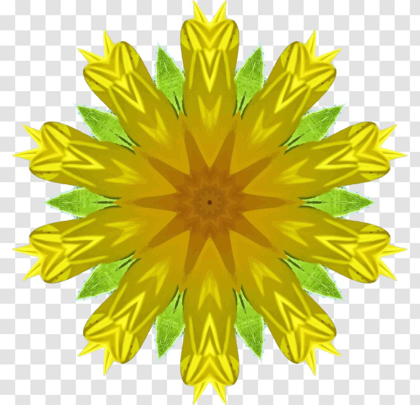 Drawing Clip Art - Petal - Dandelion Transparent PNG