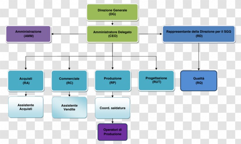 Organizational Chart Business Organisation Spa - Text Transparent PNG