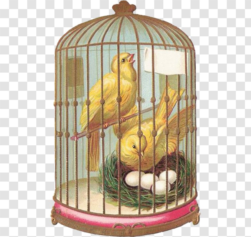 Birdcage Domestic Canary Tanager - Cage - Bird Transparent PNG