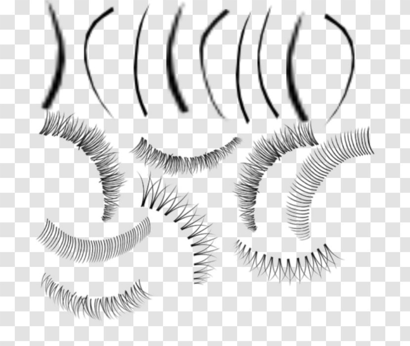 Eyelash Extensions - Silhouette - Flower Transparent PNG