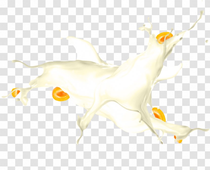 Art Fauna Organism Tail - Museum - Yoghurt Transparent PNG