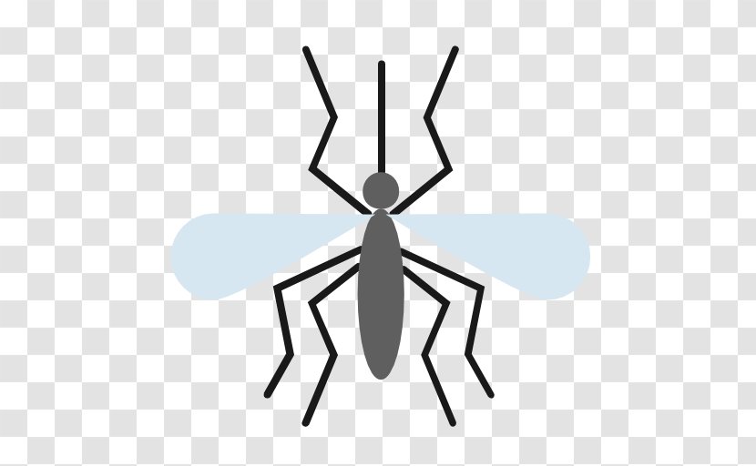 Insecte Vecteur Clip Art - Artwork - Insect Transparent PNG