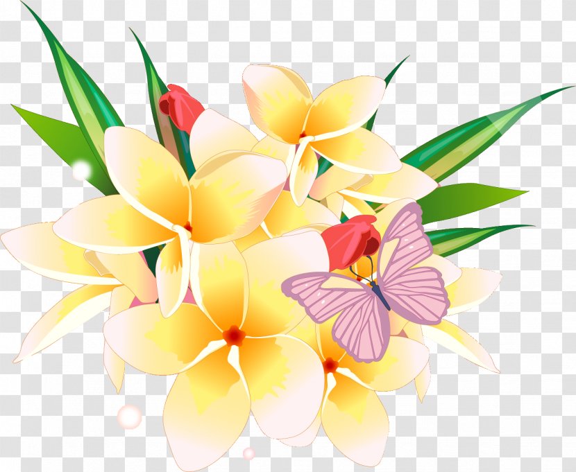 Flower Desktop Wallpaper - No - Frangipani Transparent PNG