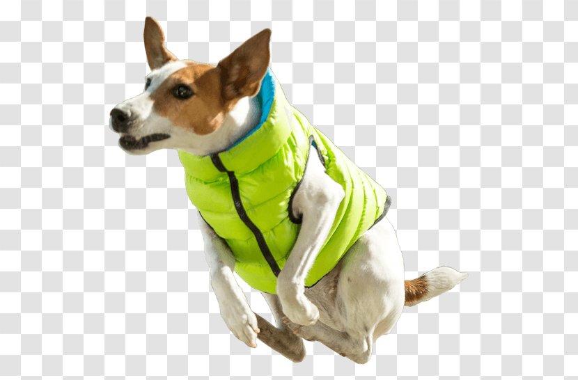 Dog Breed Jacket Waistcoat Gilets Transparent PNG