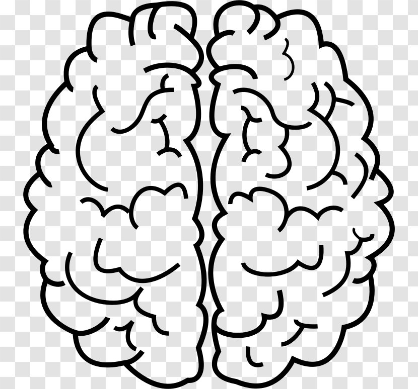 Line Art Human Brain Drawing Clip - Frame - People Thinking Transparent PNG
