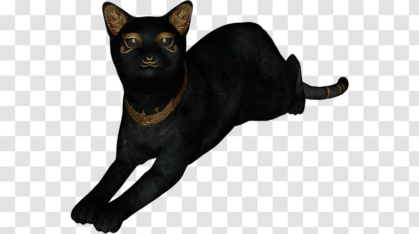 Egyptian Mau Kitten Sphynx Cat - Havana Brown - Egypt Transparent PNG