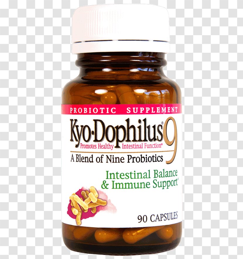 Dietary Supplement Capsule Probiotic Bifidobacterium Health - Lactobacillus Acidophilus - Garlic Blood Pressure Transparent PNG