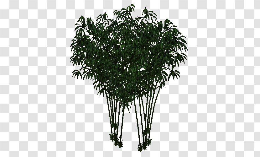 Tree Shrub Plant Flowerpot Arecales - Bamboo Transparent PNG