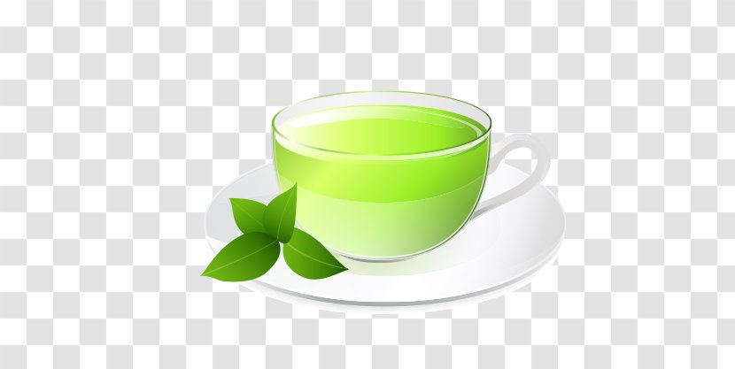 Green Tea Matcha Mate Cocido Sencha - Fresh Transparent PNG