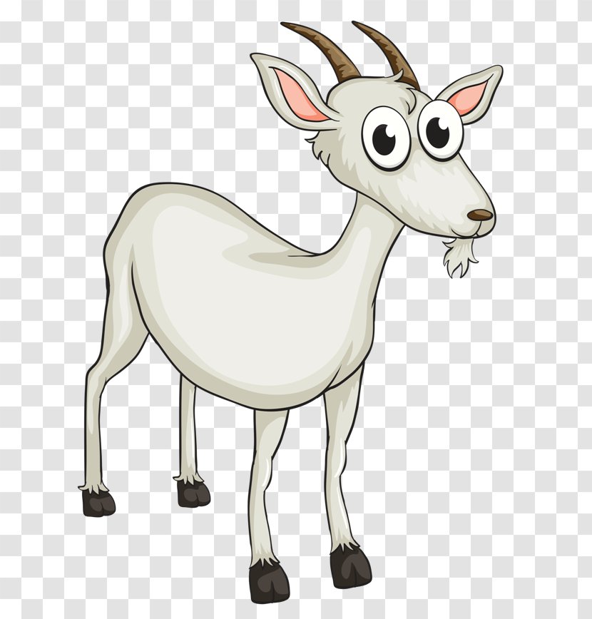 Goat Cattle Reindeer Sheep Donkey - Fawn - Chevre Button Transparent PNG
