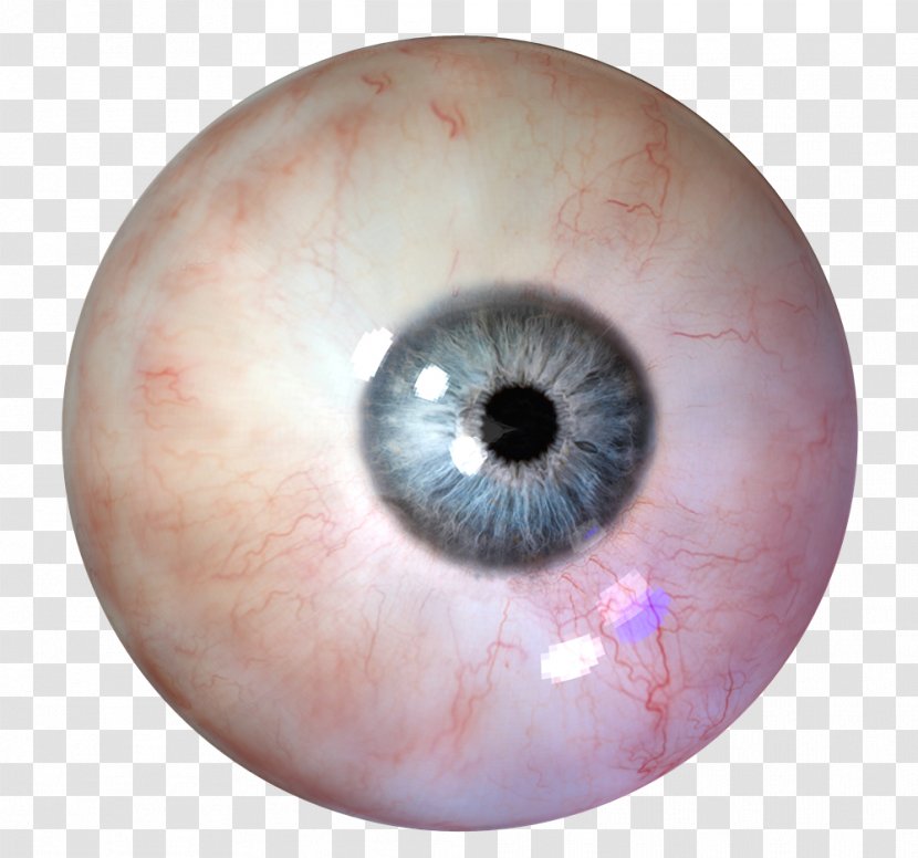 Human Eye - Heart Transparent PNG