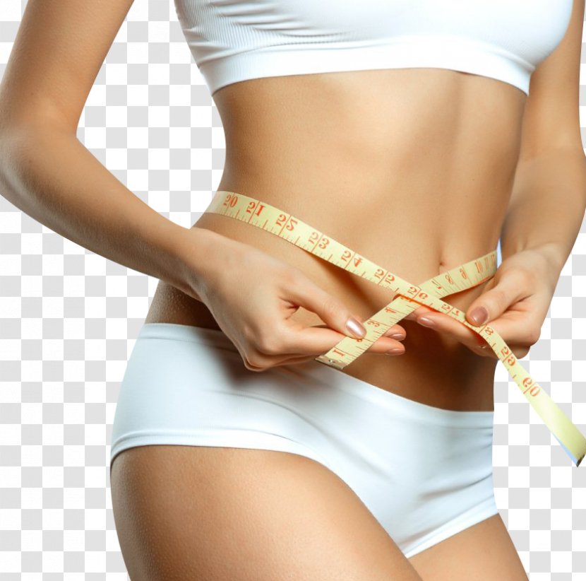 Plastic Surgery Liposuction Therapy Physician - Tree - Health Transparent PNG