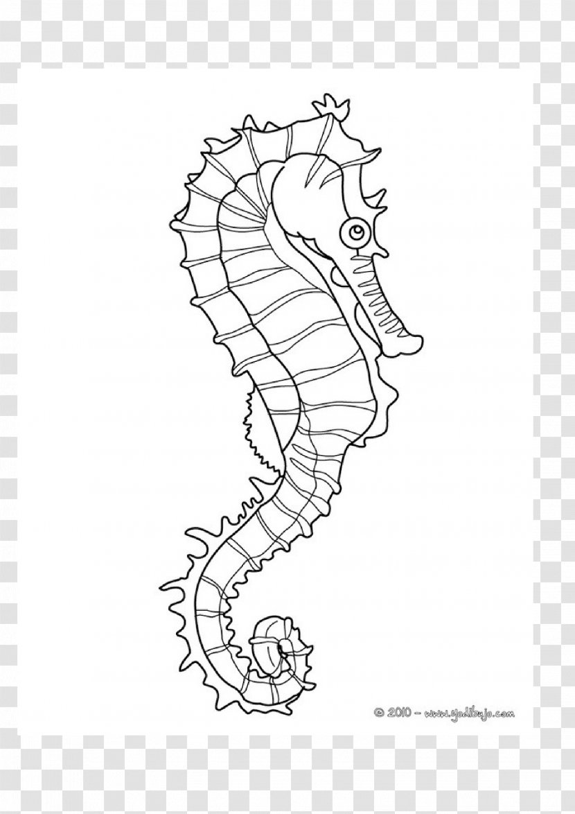 Mister Seahorse Coloring Book Child - Cartoon Transparent PNG