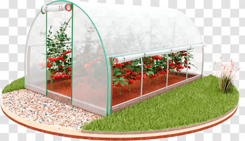 Greenhouse Зимние теплицы Cold Frame Orangery Sunroom - Price Transparent PNG