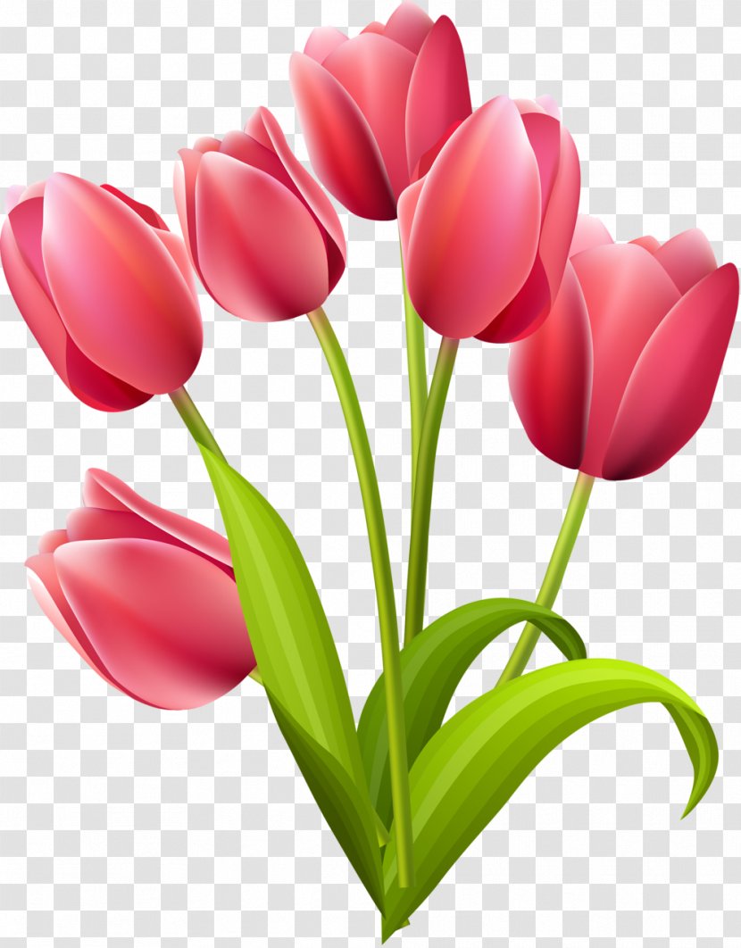 Tulip Flower Bouquet Clip Art Transparent PNG