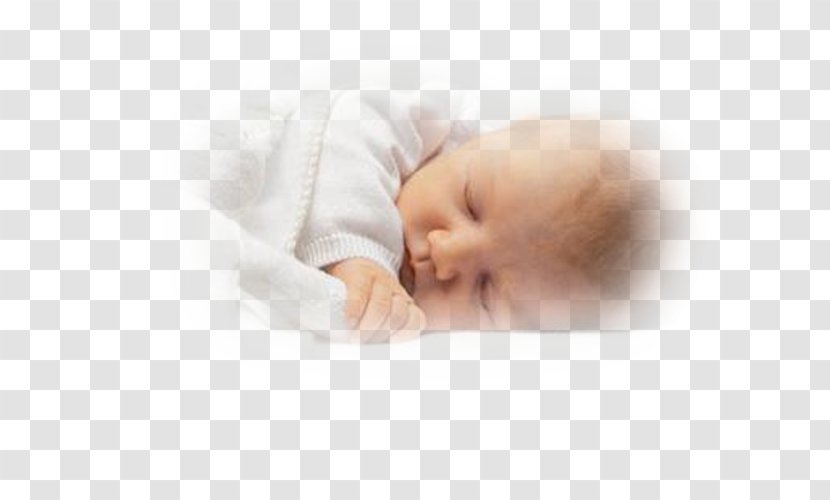 Infant Bed - Nose Transparent PNG