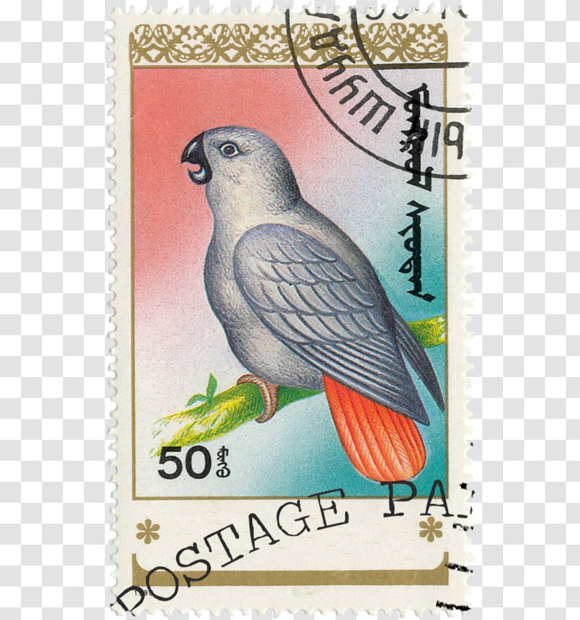 Germany Parrot Bird Postage Stamps Paper - Lovely Transparent PNG