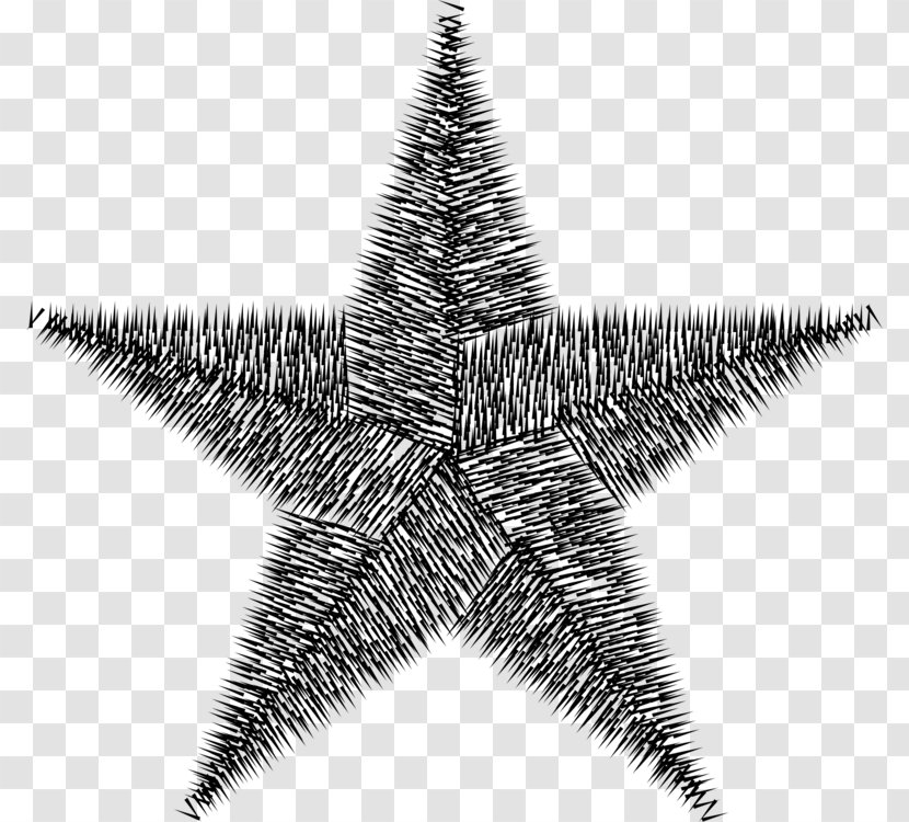 Star Background - Barnstar - Tree Medal Transparent PNG