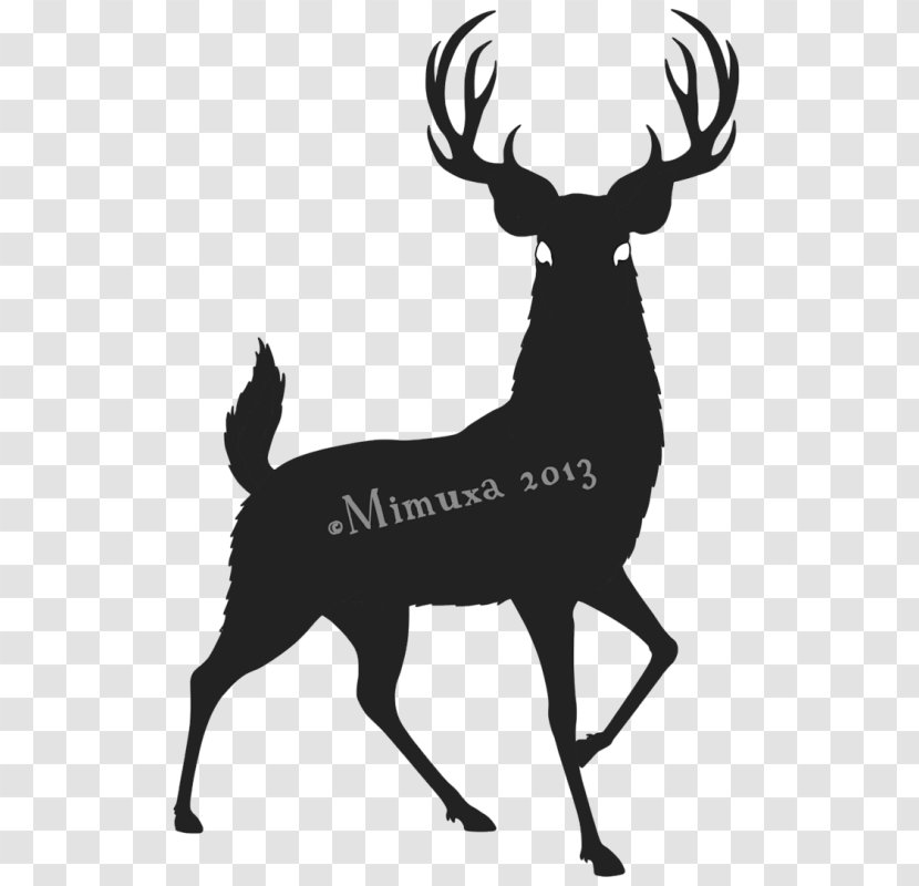 White-tailed Deer Reindeer Red Hunting - Tail Transparent PNG