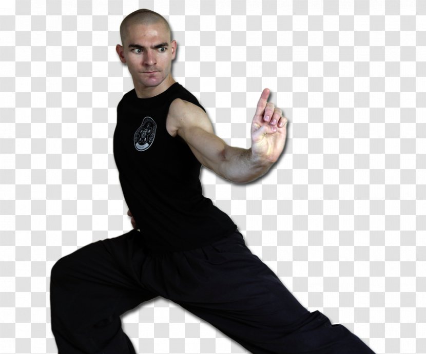Hung Ga Choy Li Fut Shoulder Kung Fu Physical Fitness - Hip Transparent PNG