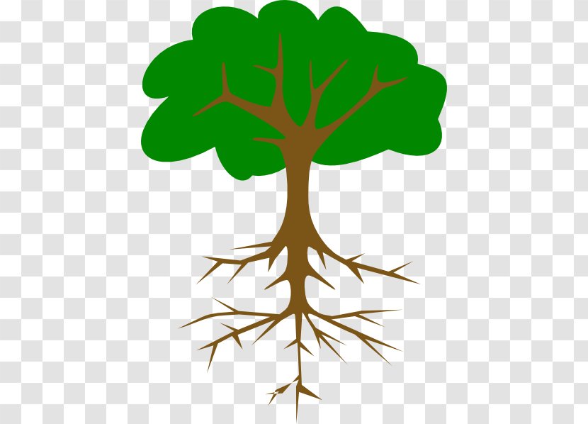 Tree Branch Root Clip Art - Plant Transparent PNG