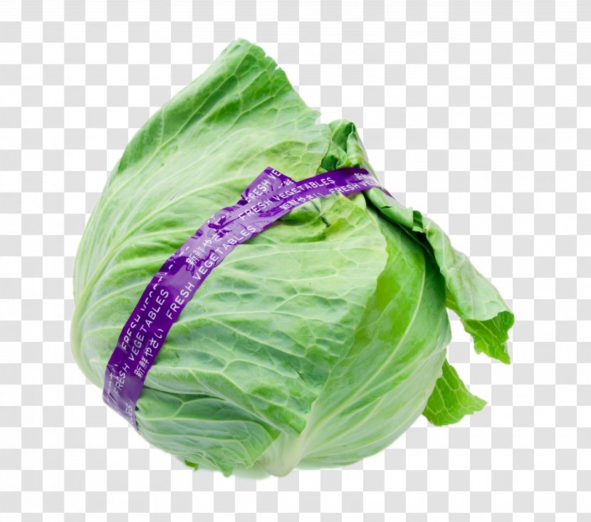Cabbage Romaine Lettuce Vegetable Brussels Sprout - HD Boutique Transparent PNG