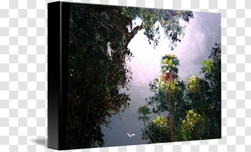 Gallery Wrap Forest Flora Picture Frames Biome - Sky - Moonlight Watercolor Transparent PNG