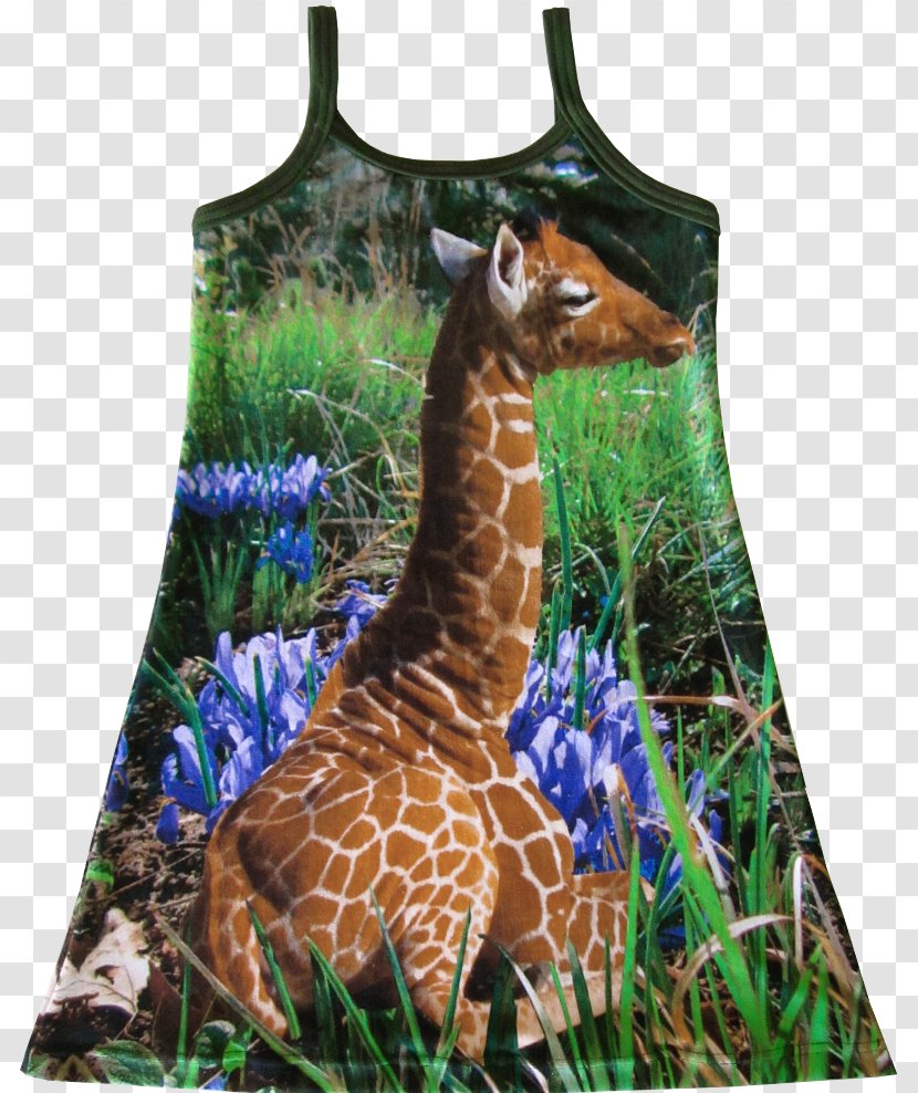 Sewing Clothing Giraffe Skirt Pattern - Tree Transparent PNG