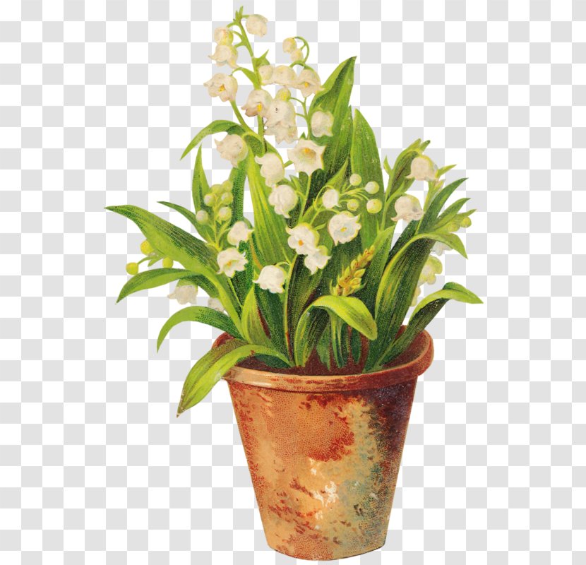 Flowerpot Bonsai Vase - Plant Transparent PNG