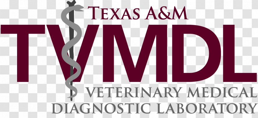 Logo Font Brand Product Text Messaging - Philippine Veterinary Medical Association Transparent PNG
