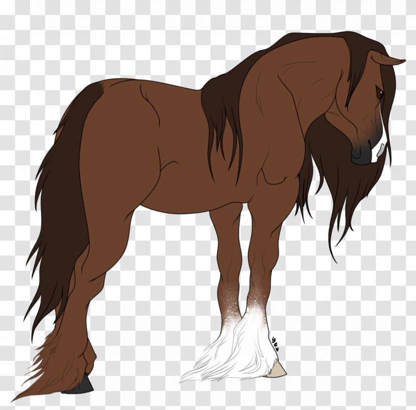 American Paint Horse Gypsy Fjord Foal Drawing - Riding Transparent PNG