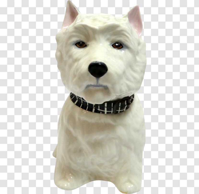 West Highland White Terrier Dog Breed Companion Snout - Carnivoran Transparent PNG