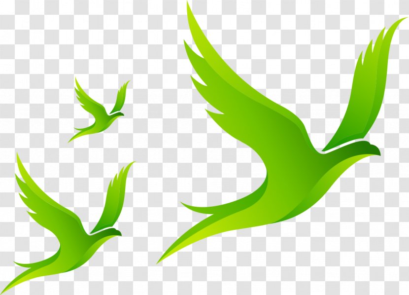 Venture Capital Entrepreneurship Startup Company Investment Business Plan - Beak - Birds In Flight Transparent PNG