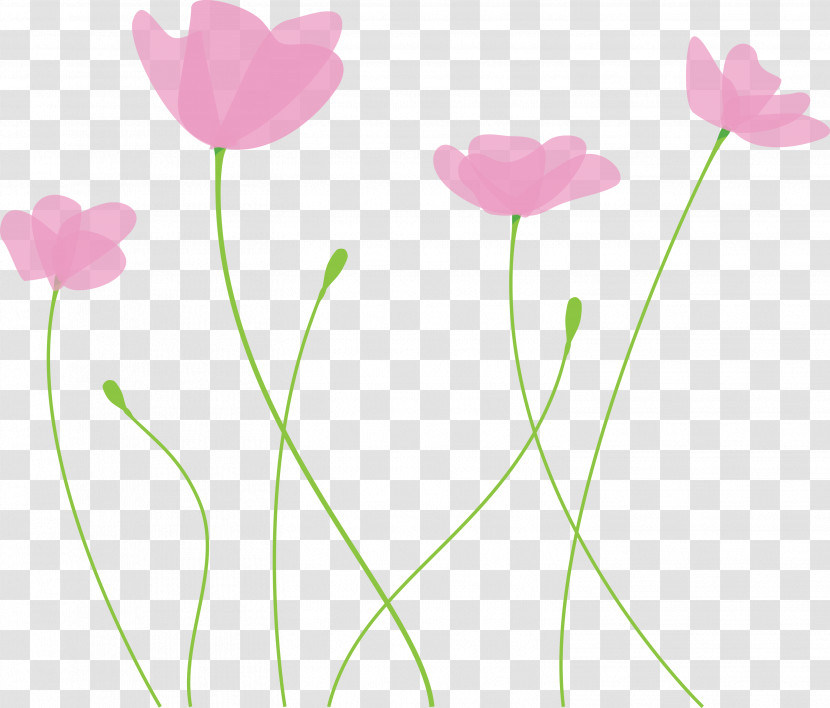 Poppy Flower Transparent PNG