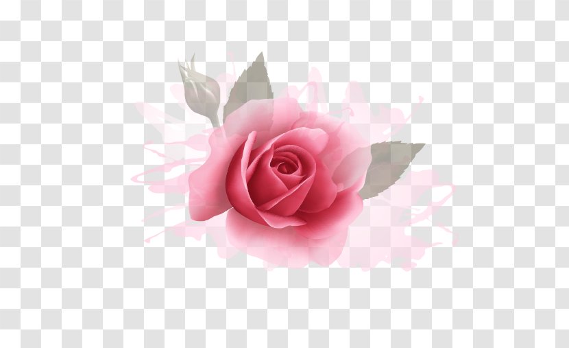 Wedding Invitation Rose Stock Photography Flower - Pink Transparent PNG