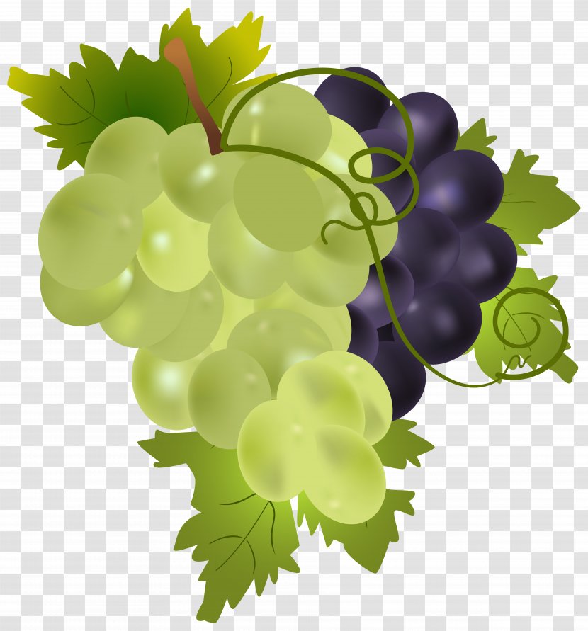 Grape Fruit Clip Art - Grapevines - Grapes Image Transparent PNG