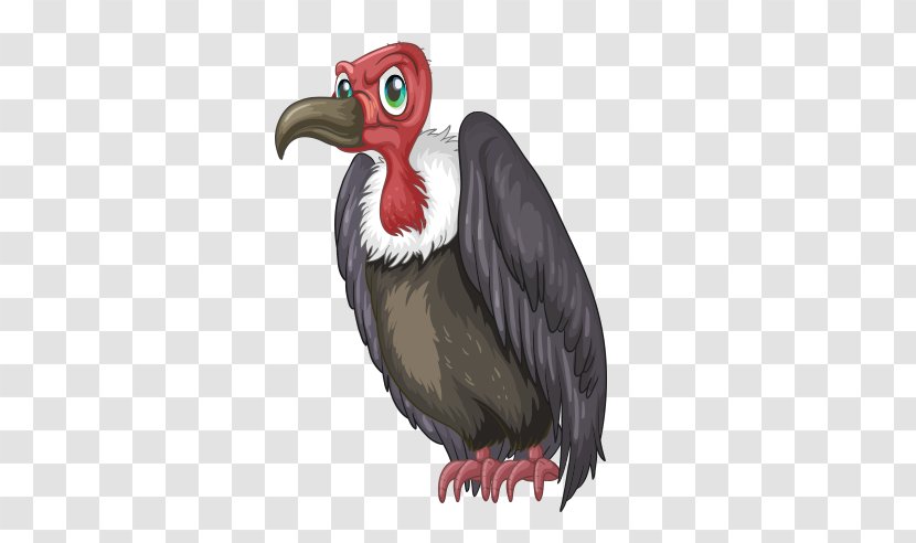 Clip Art Vector Graphics Stock Illustration Image - Galliformes - Vulture Transparent PNG