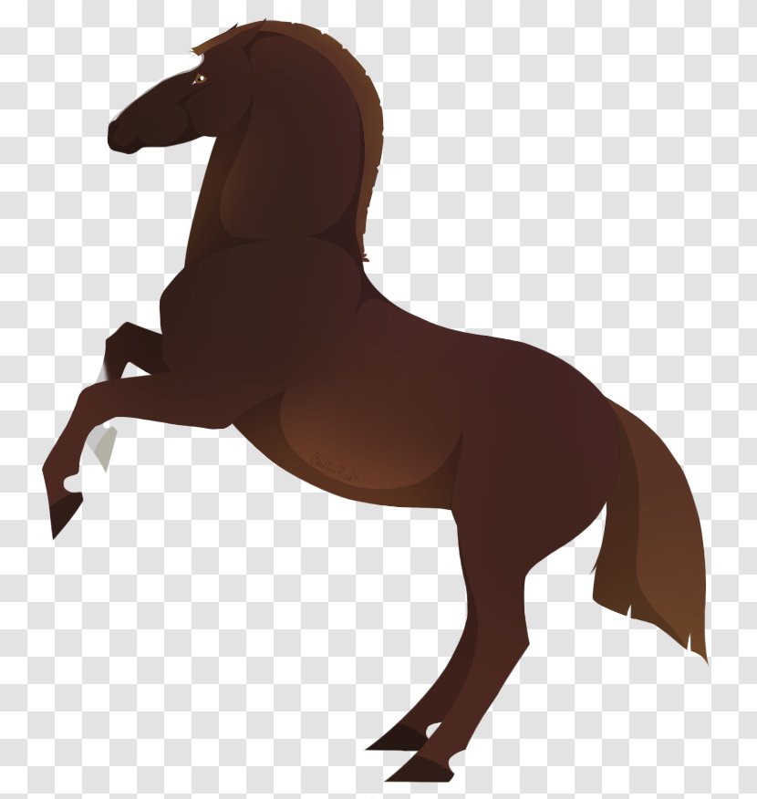 Mustang Stallion Pony Rein Pack Animal - Horse Like Mammal Transparent PNG