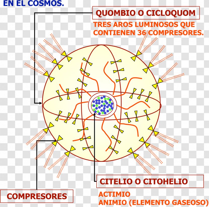 Line Point Diagram Organism Transparent PNG