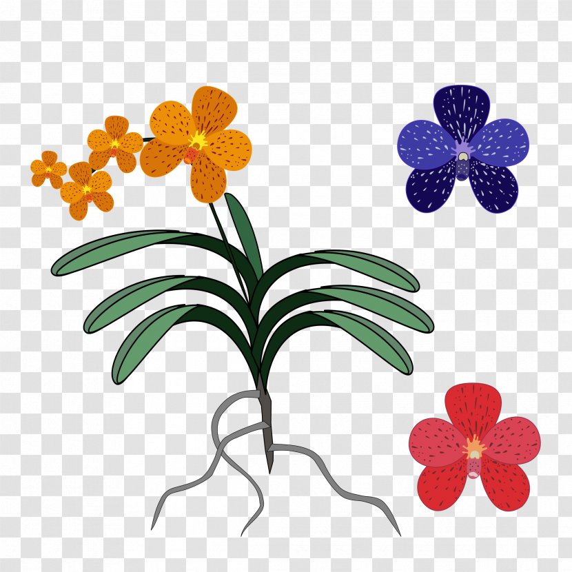 Orchids Singapore Orchid Clip Art - Organism - Cattleya Transparent PNG