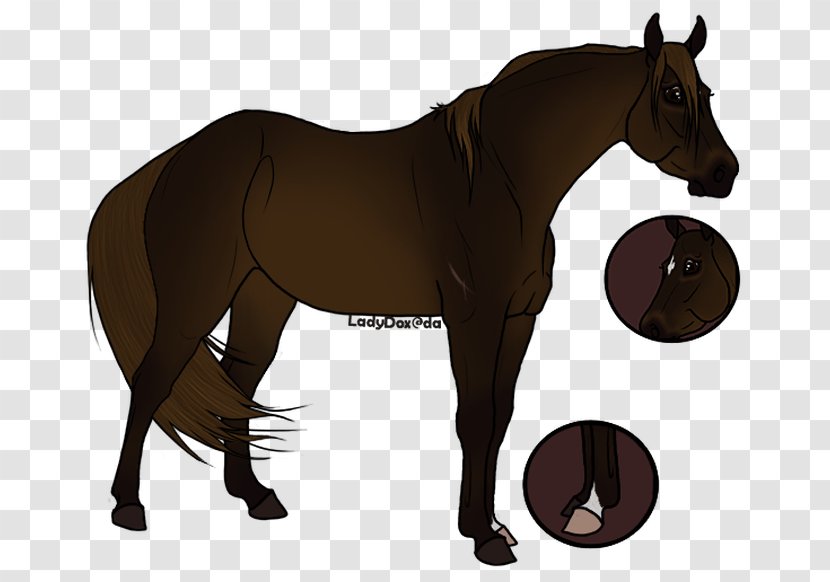 Horse Rein Stallion Mare Pony - Tack Transparent PNG