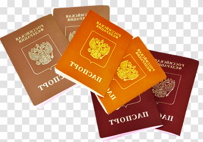 Czech Republic Passport - Creative Transparent PNG
