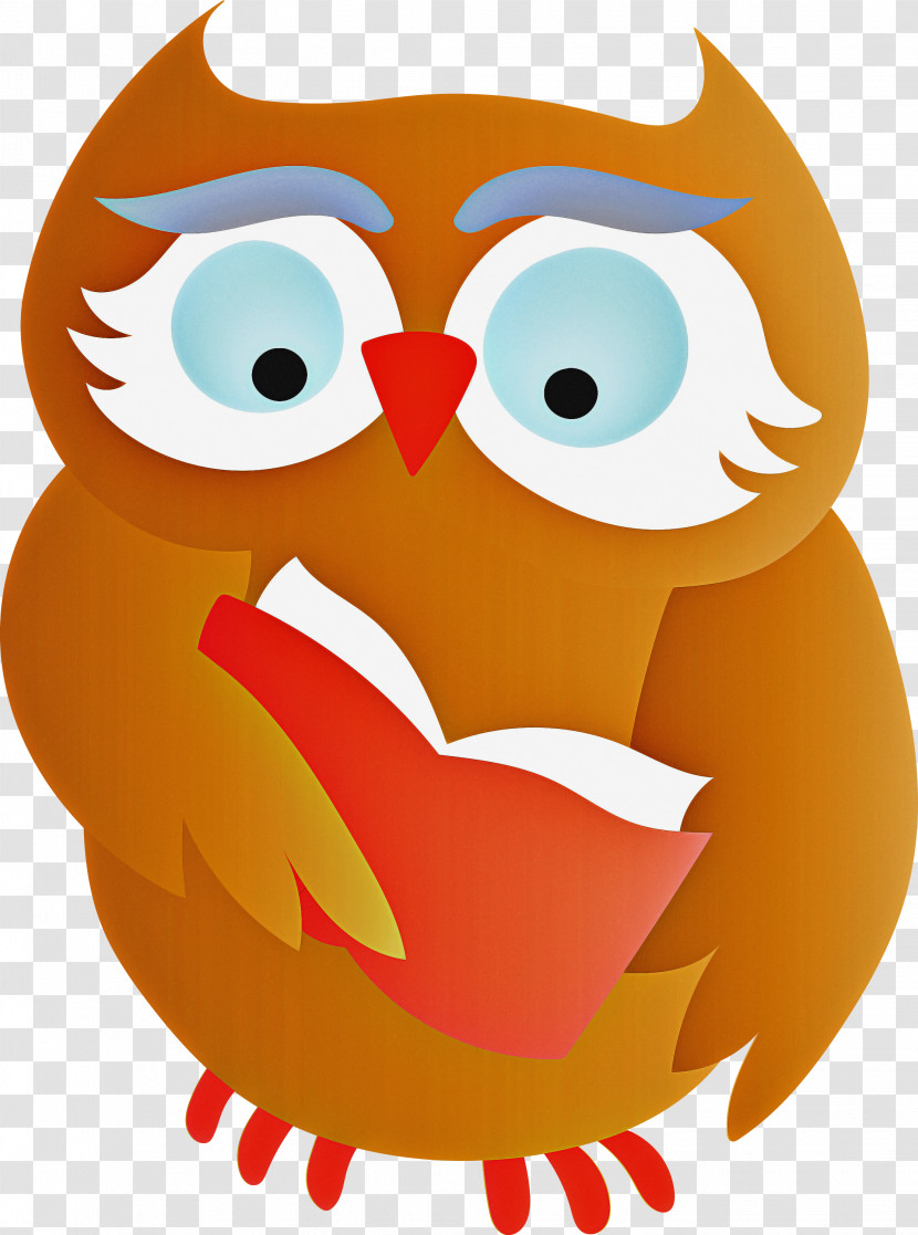 Birds Owls Beak Little Owl Bird Of Prey Transparent PNG