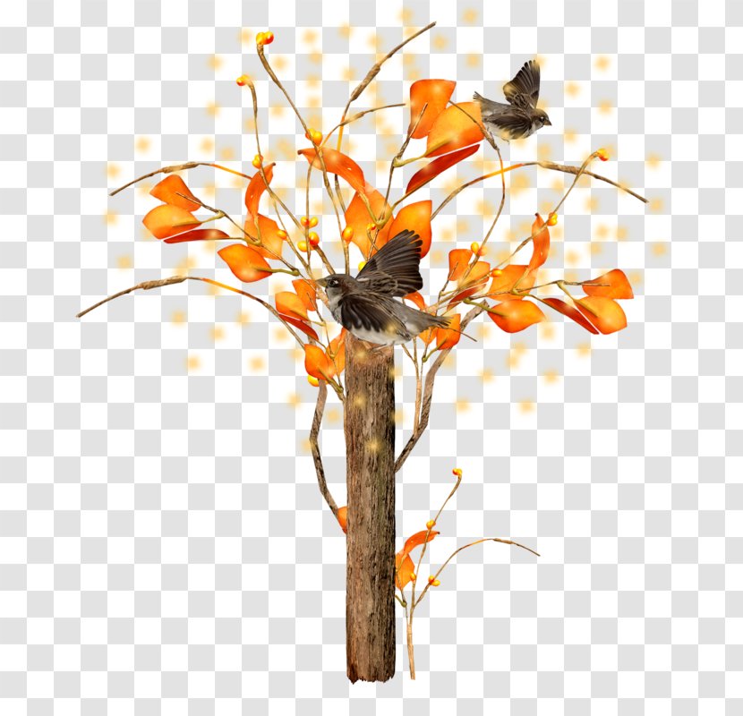 Floral Design Clip Art - Flower Arranging - Bird Tree Transparent PNG