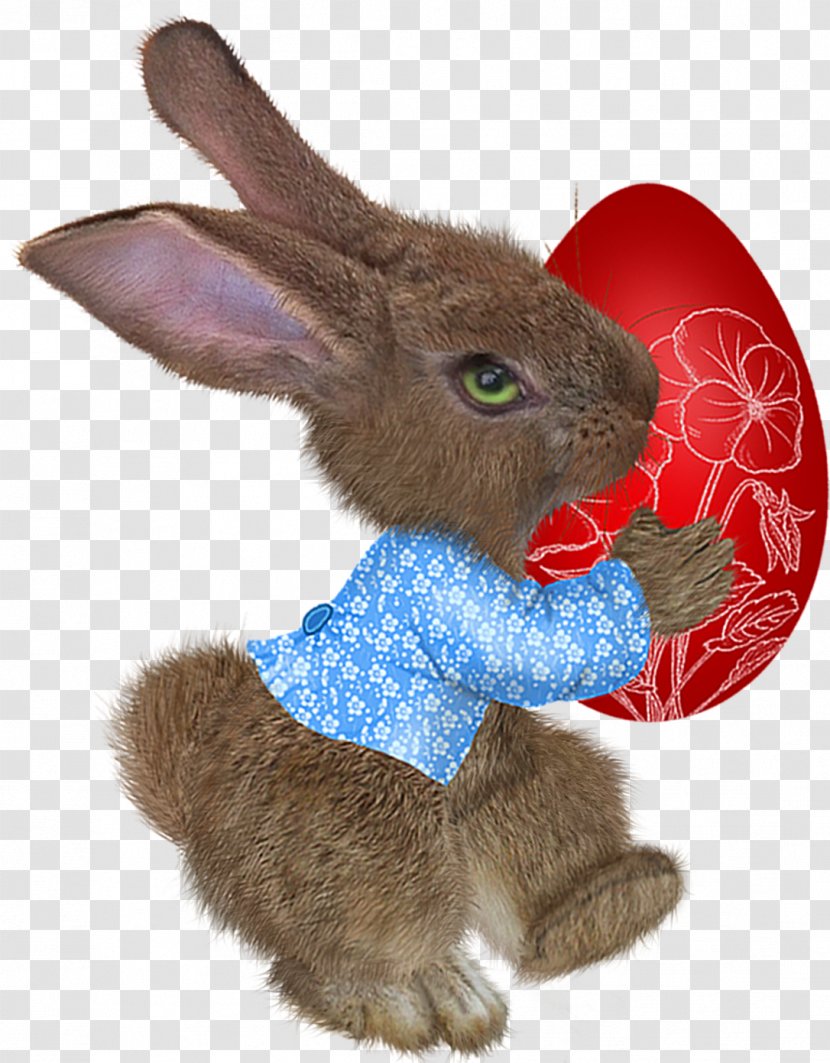Easter Bunny Domestic Rabbit Paschal Greeting - Holiday Transparent PNG