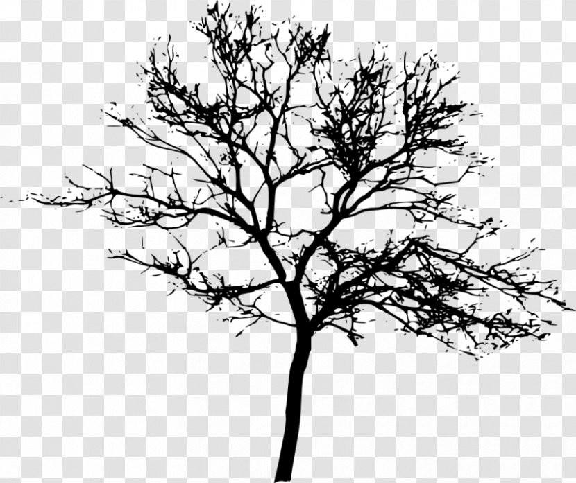 Tree Desktop Wallpaper Clip Art - Monochrome Photography Transparent PNG