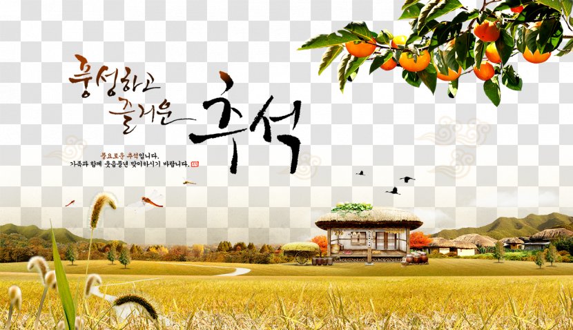 Korean Autumn - Gold - Grass Transparent PNG
