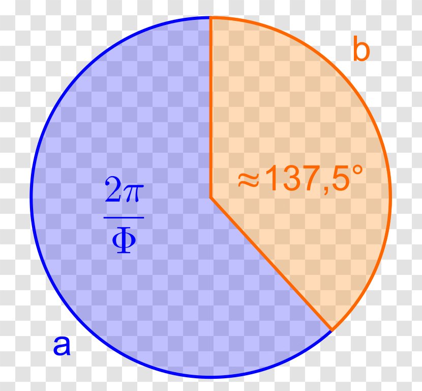 Circle Golden Ratio Angle Cirkelbue Mathematics - Line Segment Transparent PNG