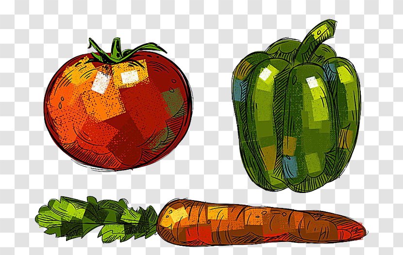 Bell Pepper Gourd Vegetable Drawing - Tomatoes, Green Peppers Carrots Buckle-free Material Transparent PNG