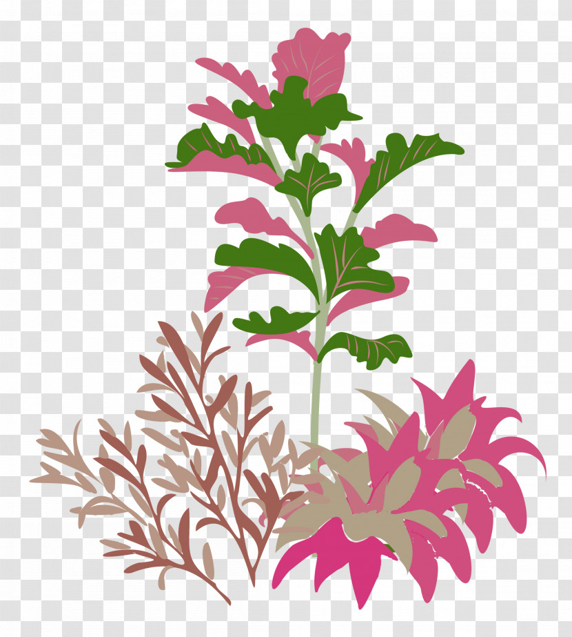 Plant Transparent PNG